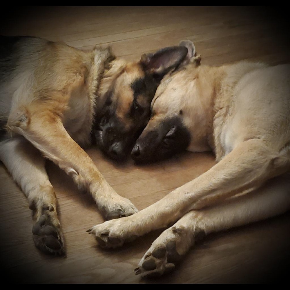 2 of my babies